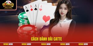 Cách Đánh Bài Catte| Chỉ Dẫn Tường Tận Dành Cho Người Mới