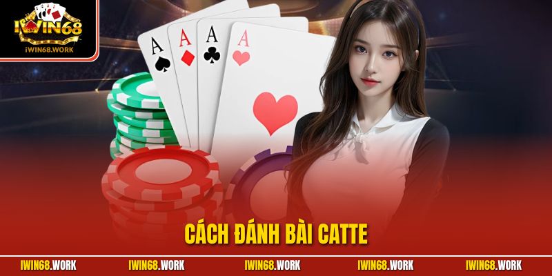 Cách Đánh Bài Catte| Chỉ Dẫn Tường Tận Dành Cho Người Mới