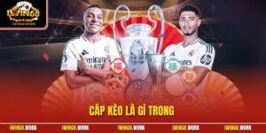 Cáp Kèo Là Gì Trong | Bí Quyết Cá Cược Thành Công 2025