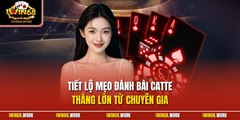 Tiết lộ mẹo đánh bài Catte thắng lớn từ chuyên gia